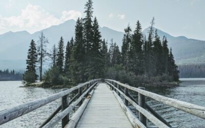 Cybersecurity Assessments im KMU-Umfeld